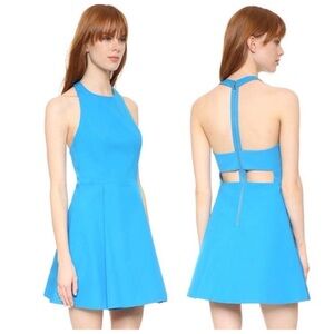 Alice + Olivia Cut Out Fit& Flare Dress